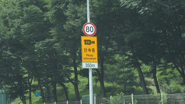 Speed limit sign on a forest road