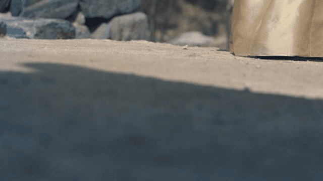 맑은 날 전통 한복을 입은 모습