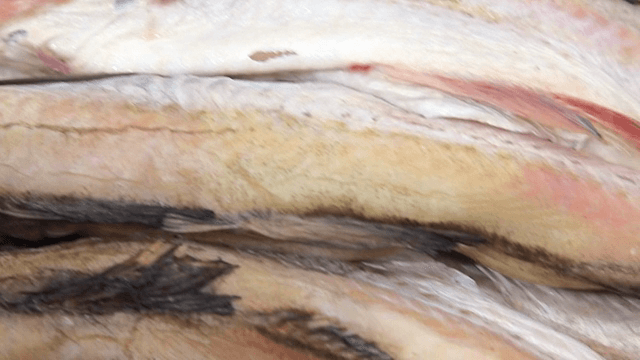 나무 쟁반에 놓인 명태