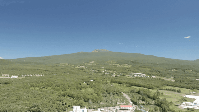 산이 있는 넓은 녹색 풍경