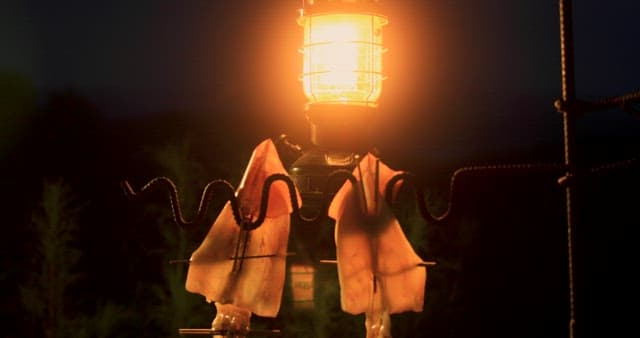 Illuminated Lantern and Squid Hanging Outdoors at Dusk