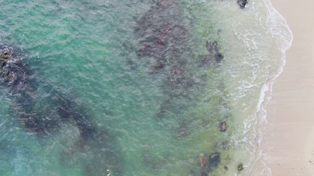 View of a beach with clear water