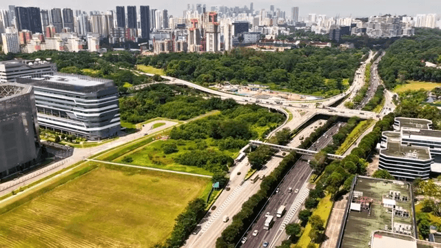 교통이 활발한 도시 풍경