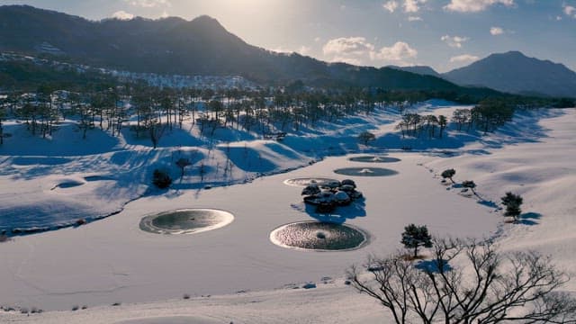 Winter Landscape with Snowy Trees and Ponds