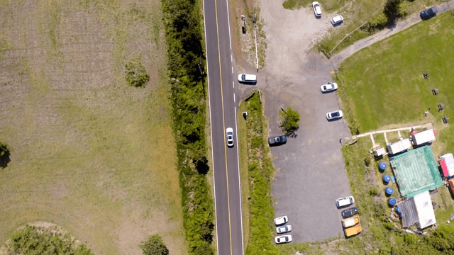 녹음이 우거진 시골 도로를 달리는 자동차