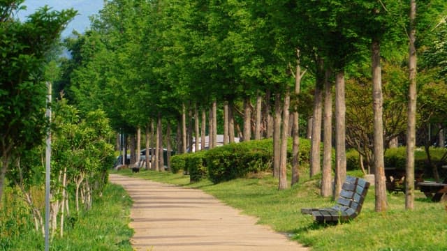 화창한 날 공원의 나무가 줄지어 선 길을 자전거를 끌고 걷는 사람