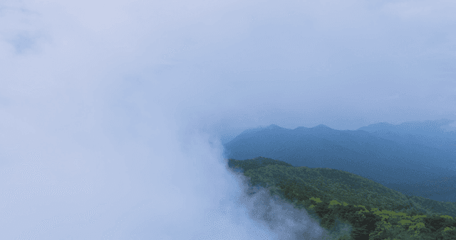 Misty mountains with lush green forests