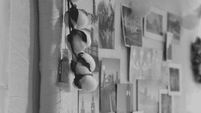 사진이 붙은 벽의 목화 장식