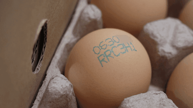 코드가 인쇄된 계란이 담긴 상자