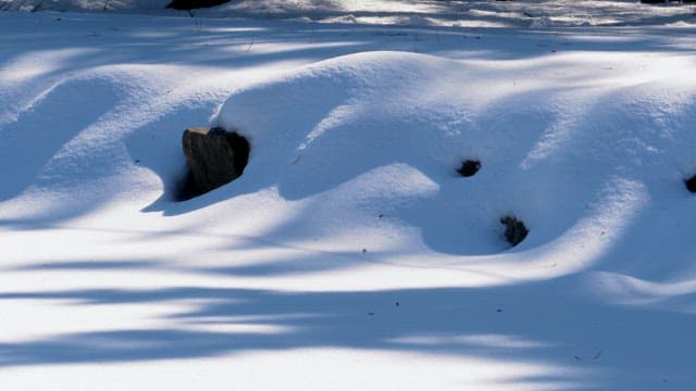 Snowy rocks casting shadows in winter's daylight