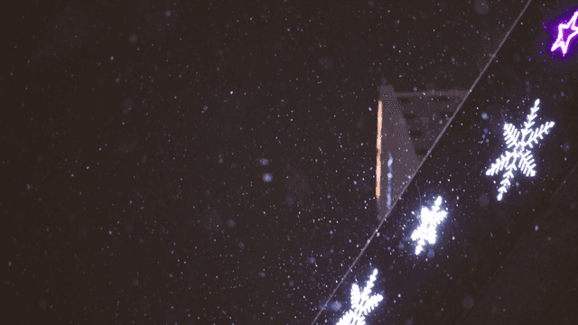 Snow falling near snowflake lights