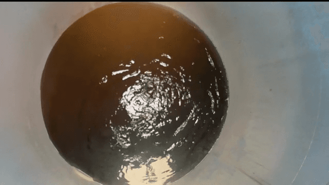 정원에 있는 물이 담긴 파란 탱크