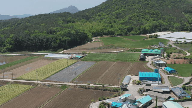 숲이 보이는 넓은 농경지