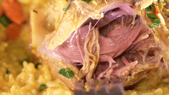 Mansaf lamb that tears easily with fork