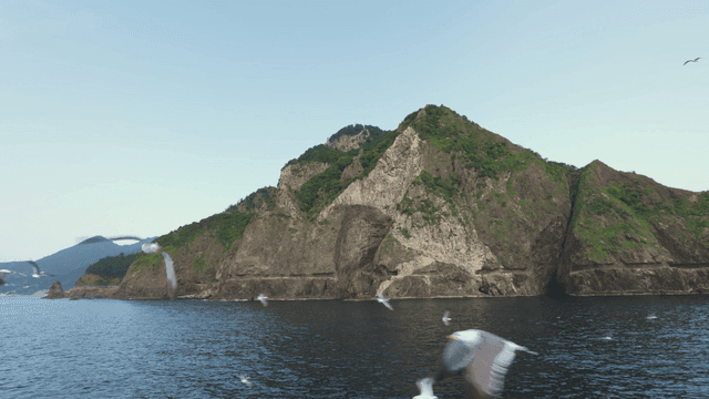 갈매기가 나는 바위섬