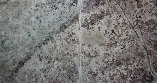 황량한 들판의 풍경