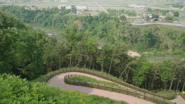 Winding path in green forest