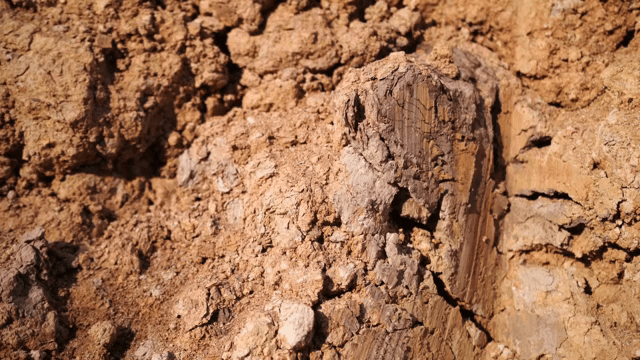 뭉쳐있는 진흙 표면