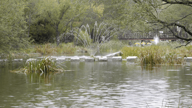 분수와 다리가 있는 고요한 공원