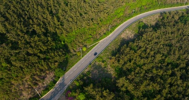 Car Traveling through Winding Forest Road