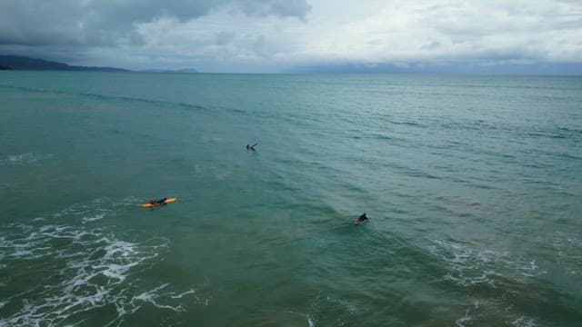 People surfing near a scenic beach