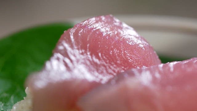 Fresh tuna sushi on a green leaf