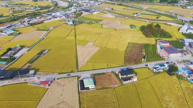 Expansive fields with a rural road