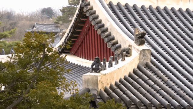 눈이 내리는 창경궁 내부의 풍경