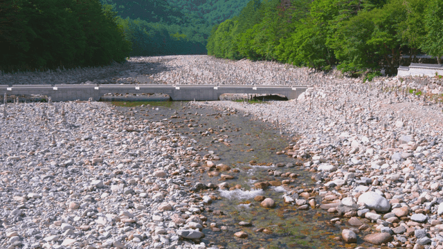 자갈밭 사이 맑게 흐르는 시냇물
