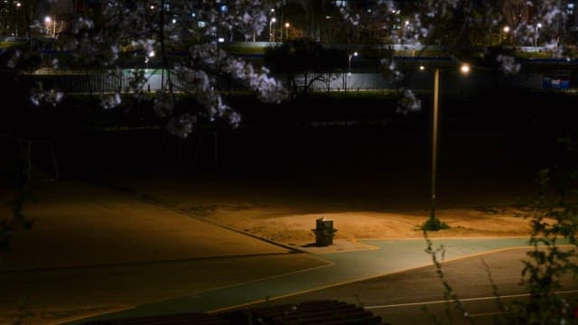 Quiet park at night with streetlights