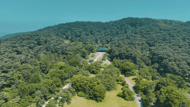 Green forest with traditional Hanok