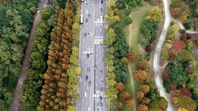 가을 나무로 둘러싸인 고속도로
