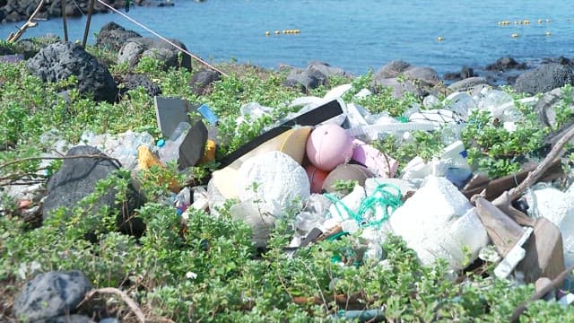 Coastal area littered with various types of waste