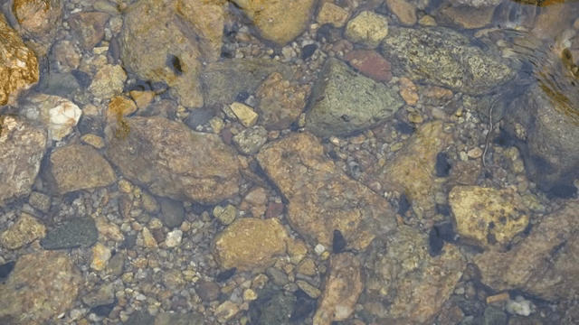 자갈이 보이는 맑은 시냇물