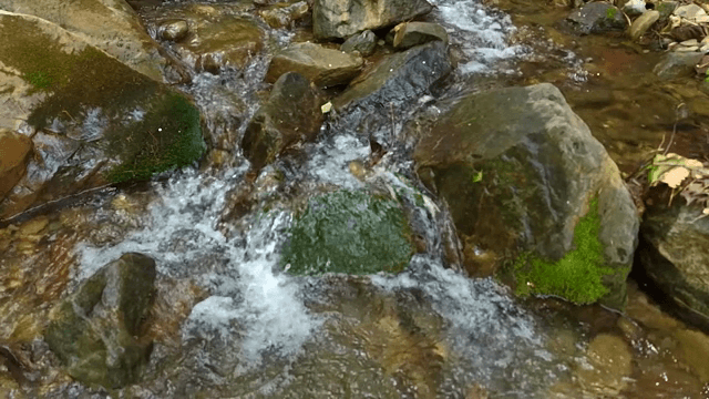 이끼 낀 바위를 흐르는 작은 폭포