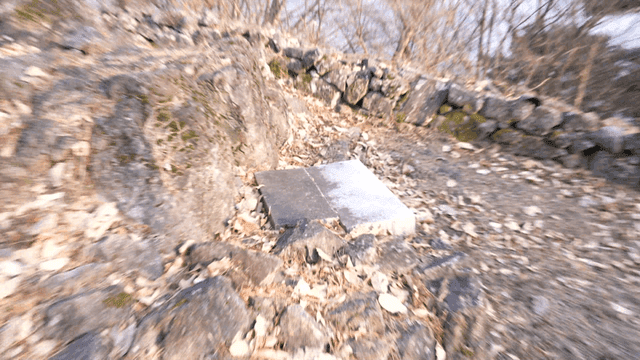 Rocky forest area with fallen leaves
