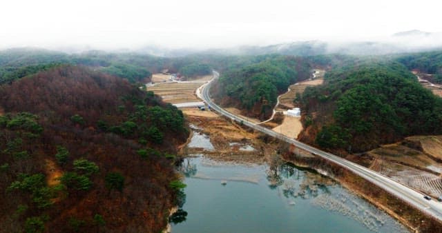 Misty Countryside Road Surrounded by Forest