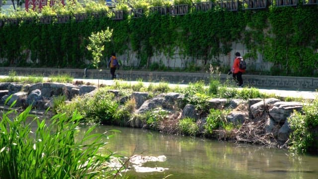 People walking and cycling along a stream path with lush greenery