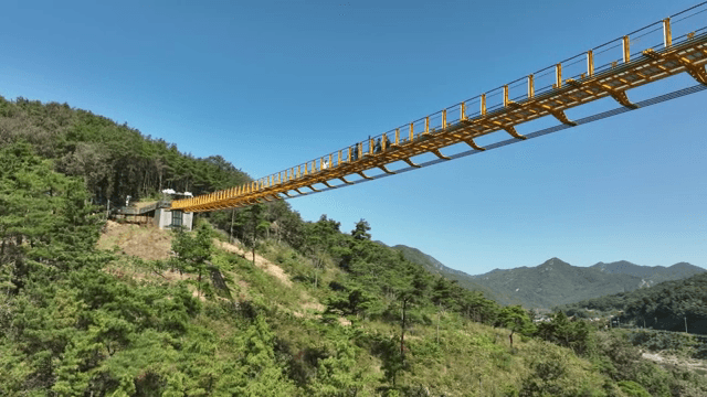 People walking on a suspension bridge