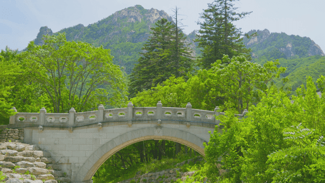 산을 배경으로 한 전통 한국 다리