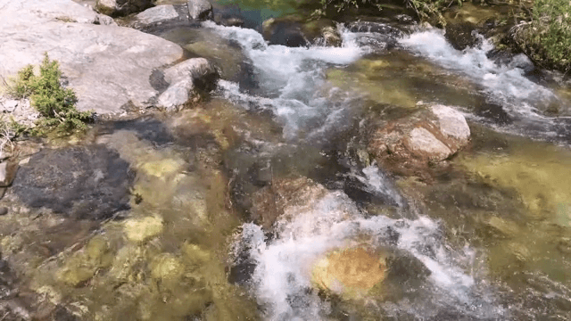 Clear stream flowing over rocks