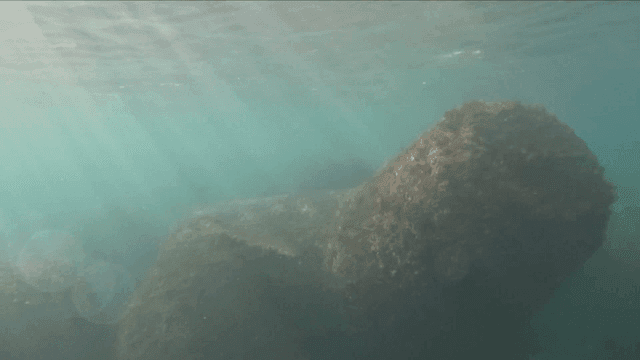 Underwater rocks and seaweed