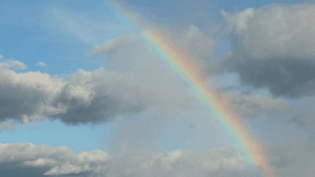 구름 낀 하늘에 걸린 선명한 무지개