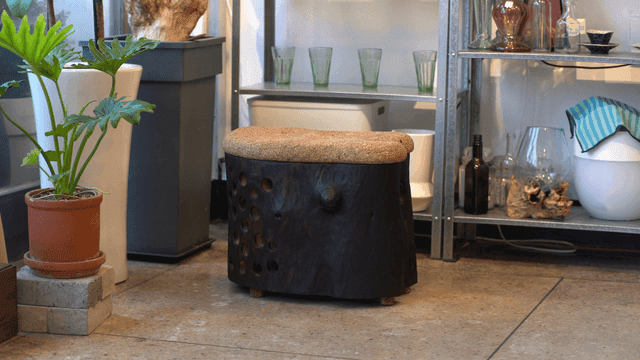 식물과 독특한 나무 의자가 있는 실내 공간