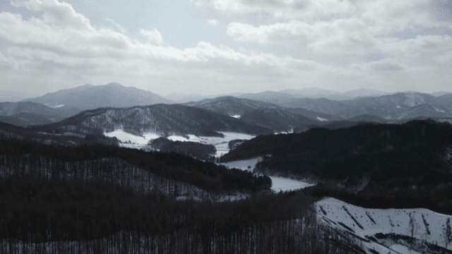 눈 덮인 산과 숲