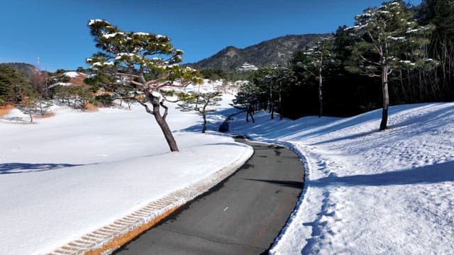 Serene Snowy Landscape with Winding Road