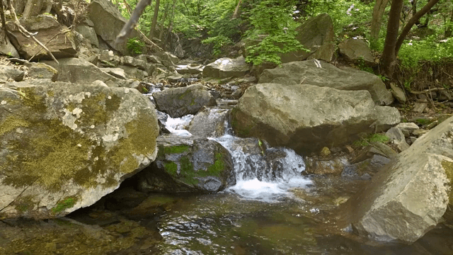 Serene stream flowing through rocks