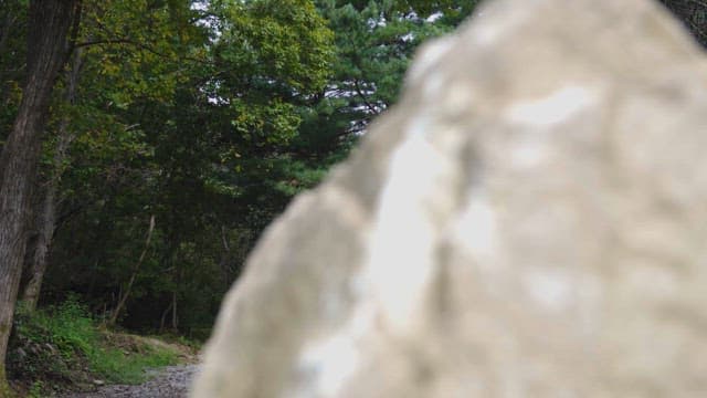 입구에 바위가 있는 조용한 숲길