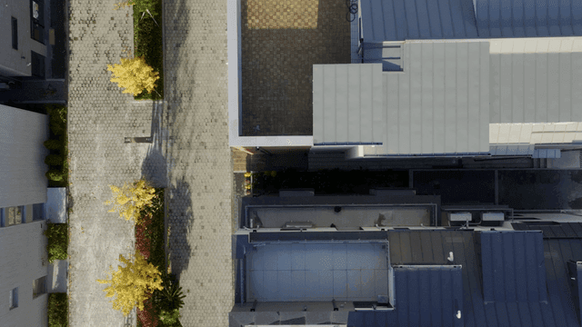 나무가 있는 거리와 현대적인 건물