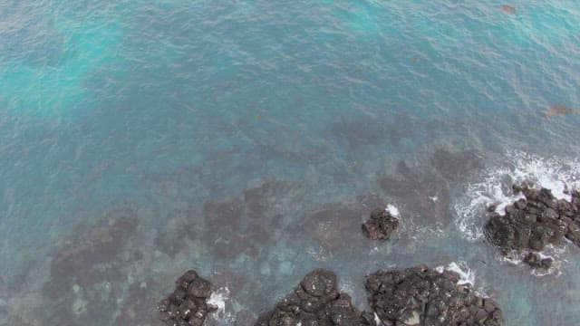 Clear ocean water with rocks and seagulls